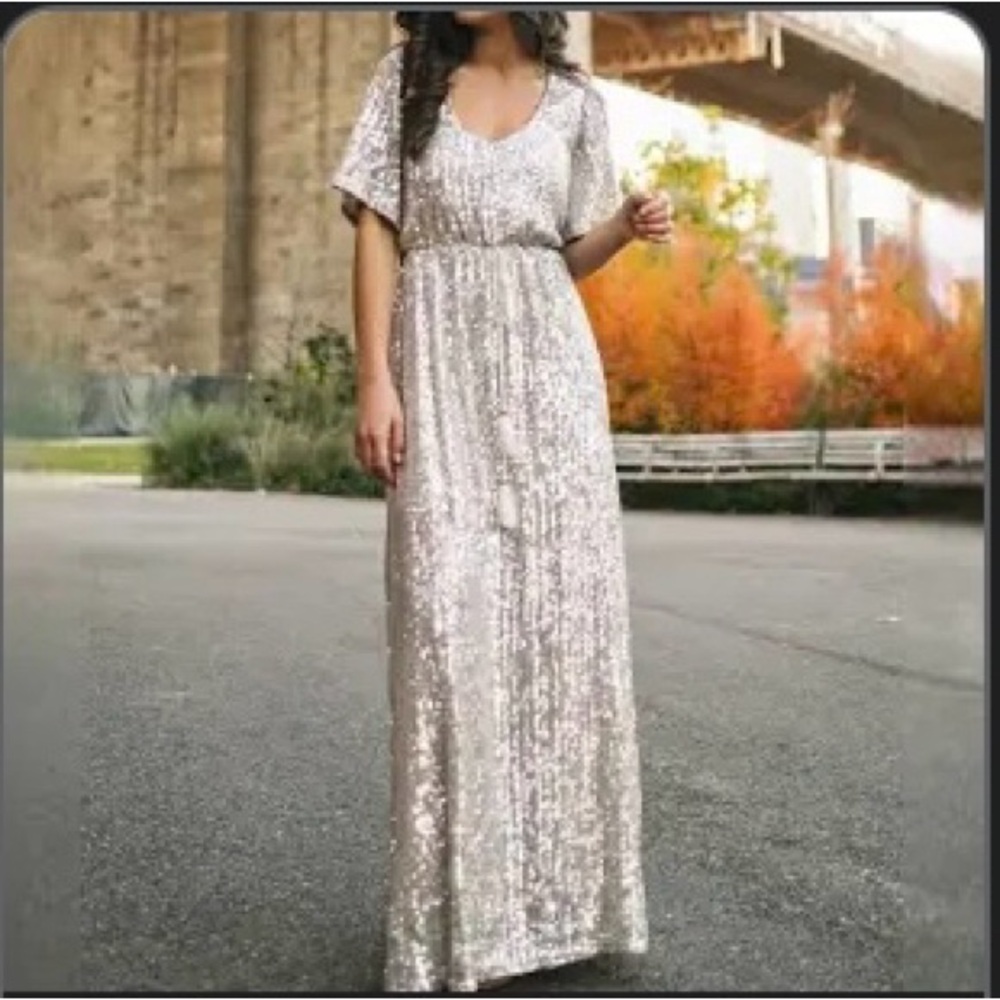 Gorgeous silver sequin maxi dress. Perfect for NYE!